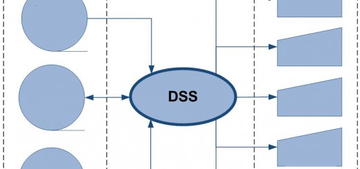 DSS Diagram